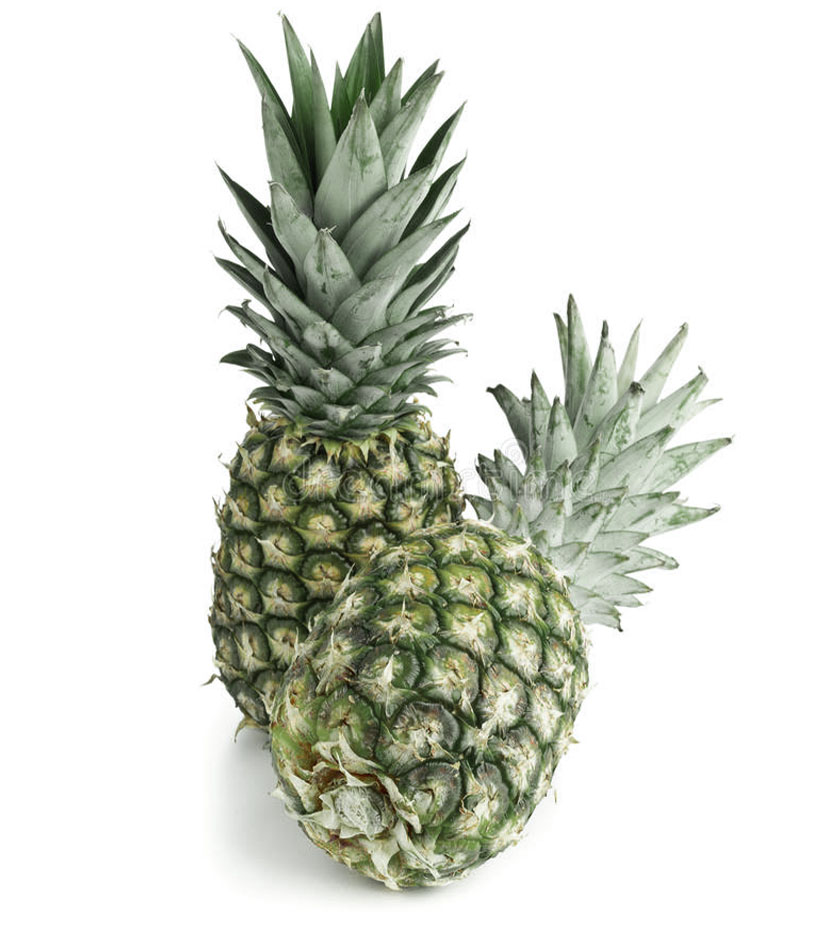 Feiras com a participação da Tropicalfood Machinery em 2023